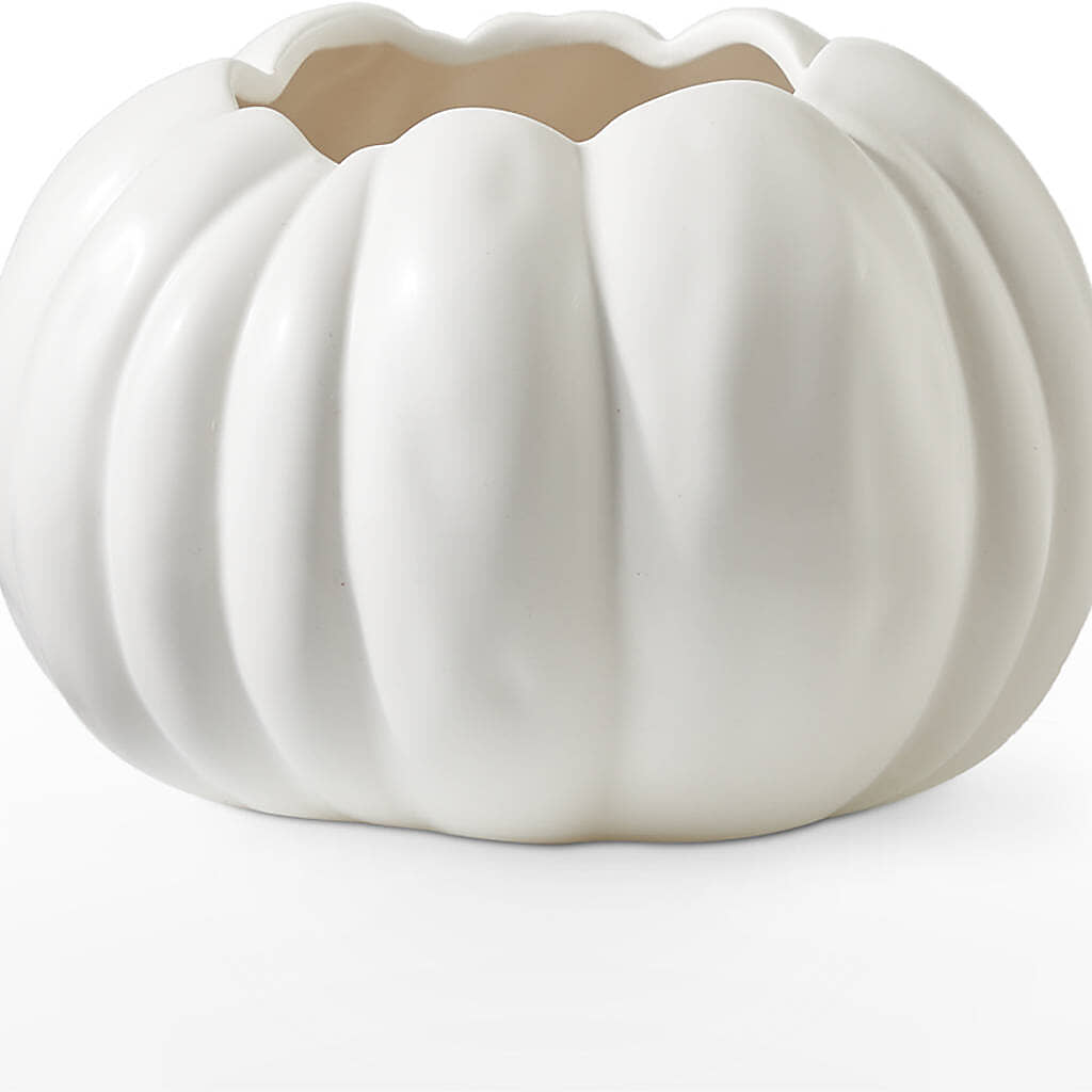 Autumn Air Pumpkin Bouquet –  Homestead Flower Company Inc, Homestead FL